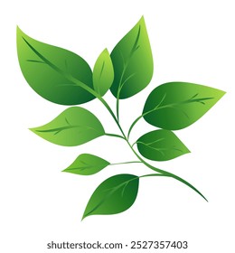 This image features a green leaf branch with various leaf shapes, showcasing a smooth graphic style on a white background. Vector illustration