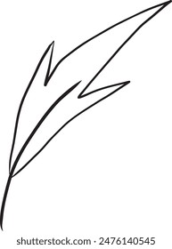 This image features a hand-drawn illustration of a single leaf with intricate vein details. The design is minimalist and elegant, showcasing the natural beauty of leaves. The black and white line art 