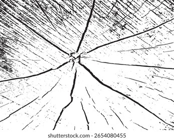 This image features a high-contrast black and white grunge texture. Its distinctive silhouette style showcases the radial lines and cracks of a tree trunk's cross-section.