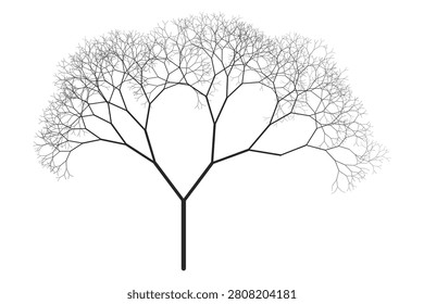 This image features an intricate, black silhouette of leafless branches against a stark white backdrop.