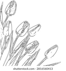 This image features an