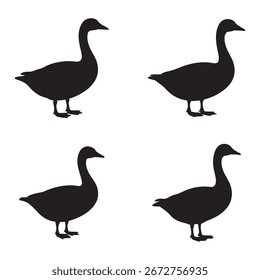 This image features a repeating pattern of simple, black silhouettes of geese.