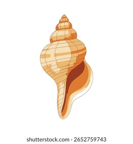 This image features seashell, shell, sea, ocean, beach, illustration, vector, isolated. Illustration of a Detailed Orange Seashell on a White Background