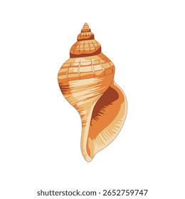 This image features seashell, shell, sea, ocean, beach, marine, nature, animal. Vector Illustration of a Seashell Isolated on a White Background