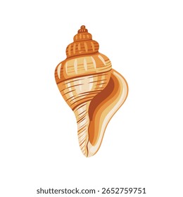 This image features seashell, shell, spiral, brown, beige, isolated, illustration, sea. Isolated illustration of a brown and beige spiral seashell on white
