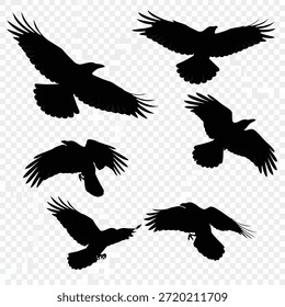 This image features a series of six raven silhouettes captured in mid-flight. The ravens are depicted against a light background, emphasizing their dark, detailed shapes. Each raven is shown in a different pose, showcasing the grace and agility of these birds as they soar through the sky. The image highlights the intricate feather patterns and the dynamic movement of the ravens.