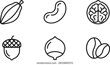 This image features a set of line art illustrations depicting a leaf, bean, chestnut, acorn, hazelnut, and coffee beans, all set against