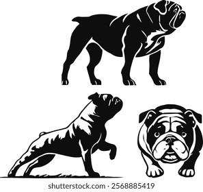 This image features silhoettes of different dog breeds, each depicated in a bold and artist design.The Illustrations emphasize the unique shapes,fur patterns and postures of the dog