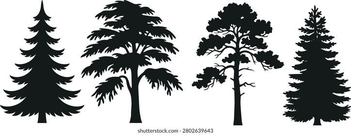 This image features silhouettes of coniferous trees against a white background. The trees display varied branching patterns and foliage density.