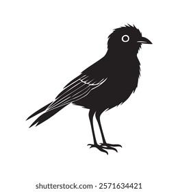 This image features a simple, black silhouette of a bird. It is depicted in a side profile, with its head turned slightly to the right. The bird has a short, pointed beak and a round eye. Its body is 