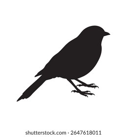 This image features a small bird in silhouette style, rendered in black against a stark white background.