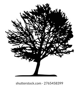 This image features a striking black and white silhouette of a tree with a thick trunk and sprawling, intricate branches extending outward. The tree has a full canopy with dense foliage, giving it a robust and balanced appearance. The stark contrast between the dark silhouette and the light background emphasizes the tree's detailed structure and natural beauty, evoking a sense of calm and simplicity.