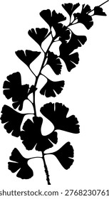 This image features a striking black silhouette of a ginkgo biloba branch set against a crisp white background. The intricate details of the leaves and stems are showcased in a simple yet elegant design, making it perfect for use in graphic design, illustration, or as a decorative element. The ginkgo biloba is a symbol of peace and serenity, and this image captures its beauty in a minimalist and artistic way.