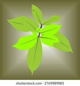 This image features a stylized illustration of a green leafy plant arranged in a radial pattern, viewed from above. The leaves vary in shades of bright and soft green, with visible vein details that add texture and depth. At the center, small budding leaves emerge, suggesting new growth and vitality. The background is a smooth gradient of earthy brown tones, creating a soft contrast that highlights the freshness of the foliage. Overall, the design conveys a natural, calm, and organic atmosphere, suitable for eco-themed or botanical visuals.