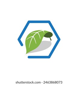 This image is a flat logo of a green leaf inside a blue hexagonal shape for environmental purposes