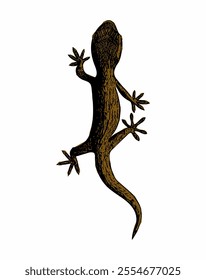 This image is gecko logo vector ilustration design 