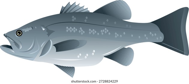 This image is a general illustration of a bass fish, representing popular sport species such as largemouth bass or black sea bass. Bass are well-known among anglers for their strength, fighting ability, and wide distribution across freshwater, brackish, and saltwater habitats, making them an iconic subject in fishing-related designs and media.