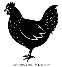 This image is a hen vector illustration