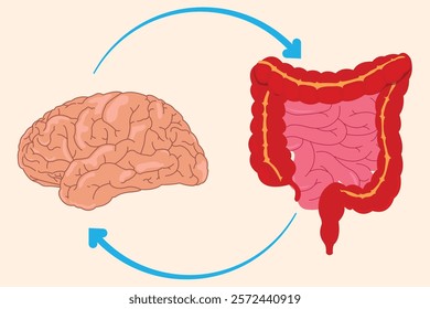 This image illustrates the connection between the brain and the gut's nervous system, known as the "second brain." eps 10