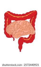 This image illustrates the connection between the brain and the gut's nervous system, known as the "second brain." eps 10