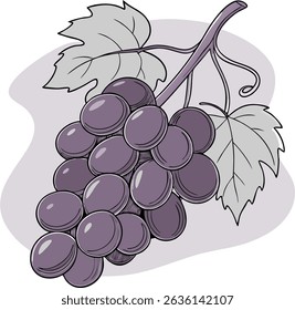 
This image is an illustration of a bunch of grapes, depicted in a stylized, almost cartoon-like manner. The grapes themselves are a deep purple or dark magenta color, round to slightly oval in shape,