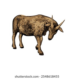 Esta imagem é uma ilustração isolada de animal de cabra 