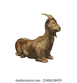 Esta Imagen es aislada ilustración animal de la cabra 