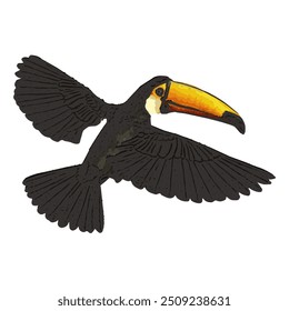 This image is isolated ilustration vector design of Toucan bird , work for logo icon template mascot RAMPHASTIDAE