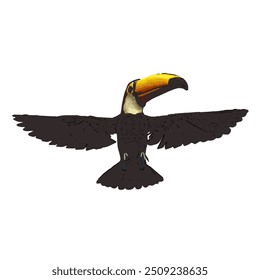 This image is isolated ilustration vector design of Toucan bird , work for logo icon template mascot RAMPHASTIDAE