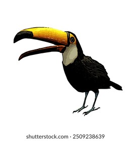 This image is isolated ilustration vector design of Toucan bird , work for logo icon template mascot RAMPHASTIDAE