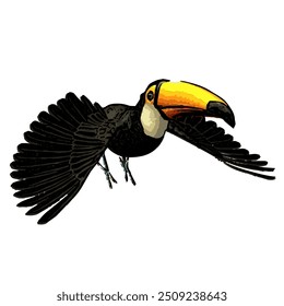 This image is isolated ilustration vector design of Toucan bird , work for logo icon template mascot RAMPHASTIDAE