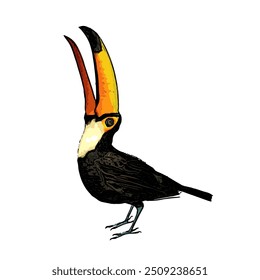 Esta imagem é ilustração isolada vetor design de Toucan bird , trabalho para ícone de logotipo mascote RAMPHASTIDAE