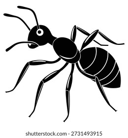 This image is a minimalist, text-based placeholder displaying the words 'Vector File' in a simple, sans-serif font on a plain white background. It serves as a generic representation or icon for any type of vector graphic, indicating the file format rather than a specific visual content. This conceptual illustration is often used to symbolize vector data in digital contexts, such as file management systems, software interfaces, or as a default icon when a specific thumbnail is not available.

