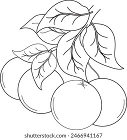 This image is perfect for those of you who are looking for material for a children's coloring book