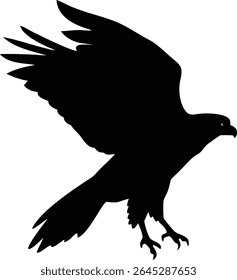 This image presents a stark black silhouette of a bird of prey, possibly a hawk or eagle, captured mid-flight in a landing posture against a white background.