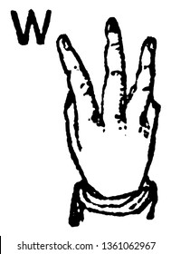 This image represents one handed Sign for W, vintage line drawing or engraving illustration.