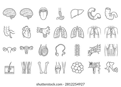 This image is a set of 28 human anatomy line icons depicting organs, systems, and tissue and cellular structures of the human body.