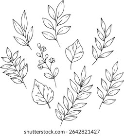This image showcases a collection of hand-drawn leaves and branches. The line art style features various leaf shapes and sizes