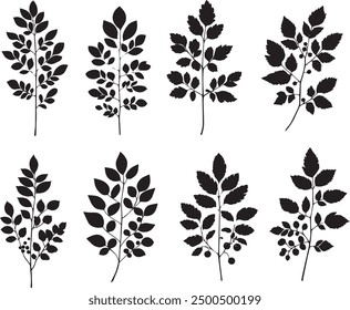 This image showcases eight different silhouettes of leafy branches.