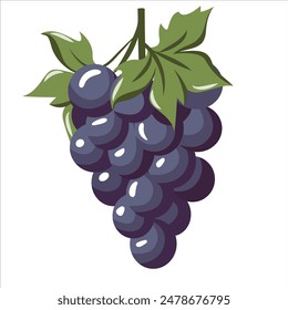 This image showcases a single bunch of purple grapes, featuring a deep purple hue and green leaves at the top. The grapes are drawn in a cartoon style, with a glossy finish, and appear ripe and ready 