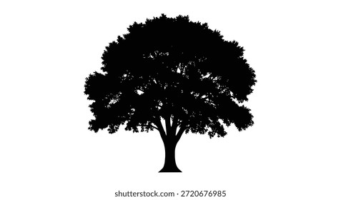 Esta imagem mostra uma impressionante silhueta preta de uma árvore, um estilo visualmente distinto.