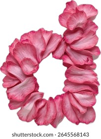 This image showcases a stylized capital letter "D" meticulously crafted from numerous overlapping pink rose petals, creating a visually appealing and organic design.