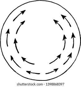 In this image showing a water flow in plants. The diagram show how to flow water inside of plants, vintage line drawing or engraving illustration.