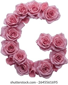 This image shows a capital letter G artistically formed using a collection of light pink roses, creating a visually appealing and elegant floral design.