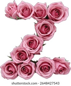 This image shows a capital letter "Z" formed by a collection of light pink roses, each rose meticulously arranged to create the shape of the letter.