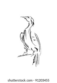 This image shows the different types of birds isolated on a white background