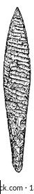 This image shows the Flint knife. It is implemented in the Neolithic age. The middle part of the knife is wide, vintage line drawing or engraving illustration.