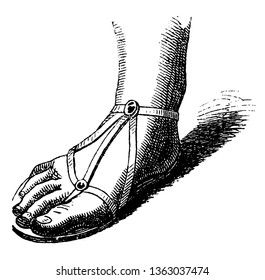 This image shows the gladiator-style Roman sandal. This sole is made of the strap, vintage line drawing or engraving illustration.