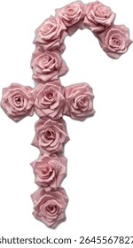This image shows the letter "f" formed by a series of blush pink roses, each rose meticulously placed to create the shape of the letter.