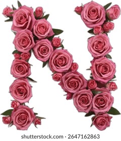 This image shows the letter "N" artistically crafted from a cluster of pink roses, varying in size and bloom, creating a visually appealing floral alphabet.